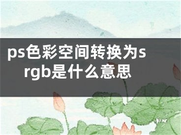 ps色彩空间转换为srgb是什么意思
