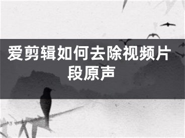 爱剪辑如何去除视频片段原声