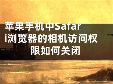 苹果手机中Safari浏览器的相机访问权限如何关闭