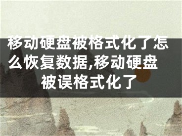 移动硬盘被格式化了怎么恢复数据,移动硬盘被误格式化了