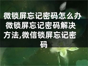 微锁屏忘记密码怎么办 微锁屏忘记密码解决方法,微信锁屏忘记密码