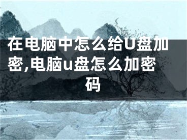 在电脑中怎么给U盘加密,电脑u盘怎么加密码