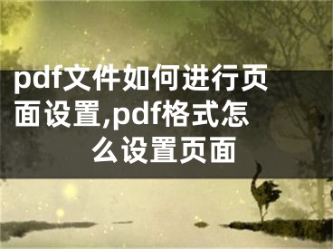 pdf文件如何进行页面设置,pdf格式怎么设置页面