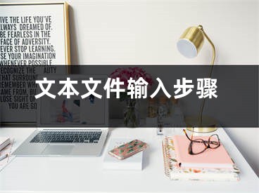 文本文件输入步骤