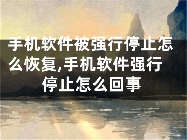 手机软件被强行停止怎么恢复,手机软件强行停止怎么回事
