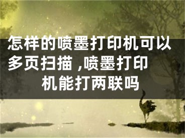 怎样的喷墨打印机可以多页扫描 ,喷墨打印机能打两联吗