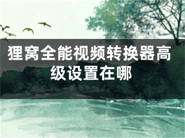 狸窝全能视频转换器高级设置在哪