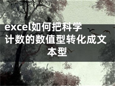 excel如何把科学计数的数值型转化成文本型