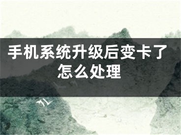 手机系统升级后变卡了怎么处理