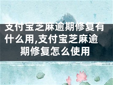 支付宝芝麻逾期修复有什么用,支付宝芝麻逾期修复怎么使用