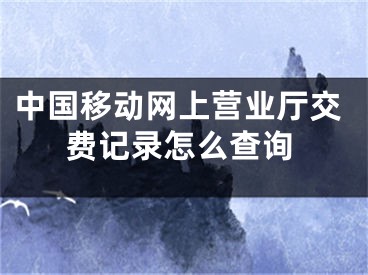 中国移动网上营业厅交费记录怎么查询