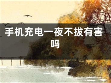 手机充电一夜不拔有害吗