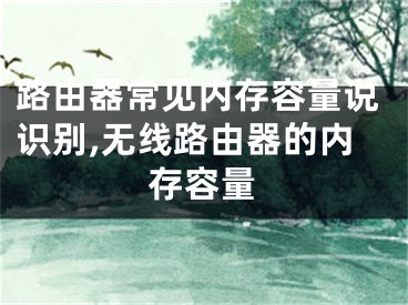 路由器常见内存容量说识别,无线路由器的内存容量
