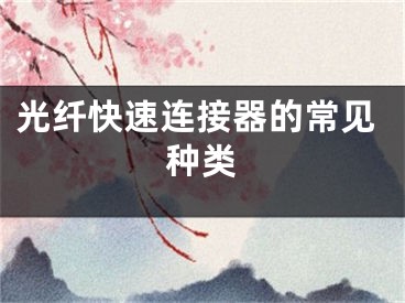 光纤快速连接器的常见种类