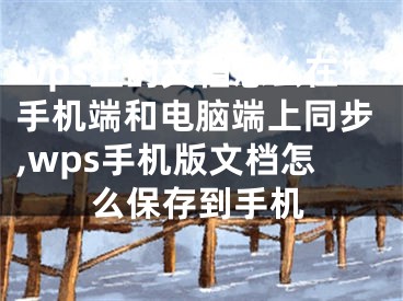 wps上的文档怎么在手机端和电脑端上同步,wps手机版文档怎么保存到手机
