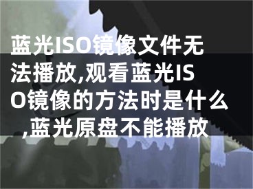 蓝光ISO镜像文件无法播放,观看蓝光ISO镜像的方法时是什么,蓝光原盘不能播放