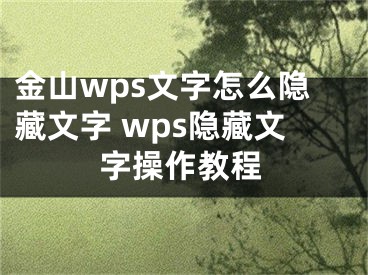 金山wps文字怎么隐藏文字 wps隐藏文字操作教程