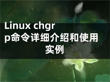 Linux chgrp命令详细介绍和使用实例