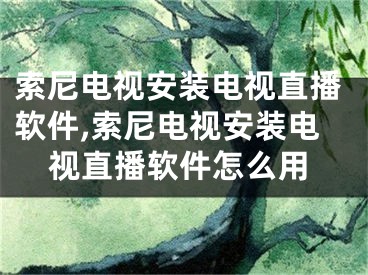 索尼电视安装电视直播软件,索尼电视安装电视直播软件怎么用