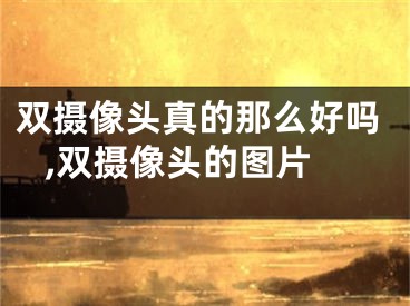 双摄像头真的那么好吗 ,双摄像头的图片