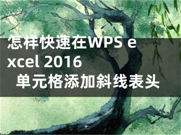 怎样快速在WPS excel 2016 单元格添加斜线表头