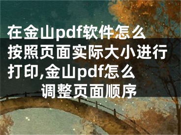 在金山pdf软件怎么按照页面实际大小进行打印,金山pdf怎么调整页面顺序