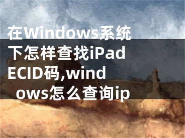 在Windows系统下怎样查找iPad ECID码,windows怎么查询ip