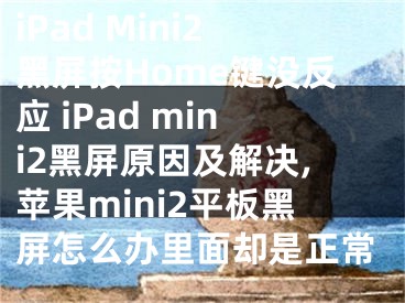 iPad Mini2黑屏按Home键没反应 iPad mini2黑屏原因及解决,苹果mini2平板黑屏怎么办里面却是正常