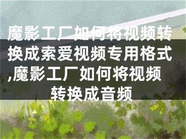 魔影工厂如何将视频转换成索爱视频专用格式,魔影工厂如何将视频转换成音频