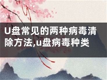 U盘常见的两种病毒清除方法,u盘病毒种类