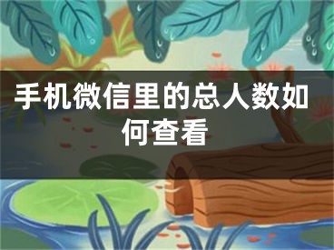 手机微信里的总人数如何查看