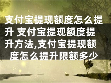 支付宝提现额度怎么提升 支付宝提现额度提升方法,支付宝提现额度怎么提升限额多少