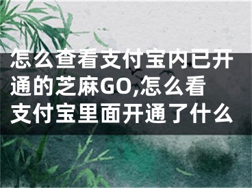 怎么查看支付宝内已开通的芝麻GO,怎么看支付宝里面开通了什么