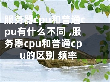 服务器cpu和普通cpu有什么不同 ,服务器cpu和普通cpu的区别 频率