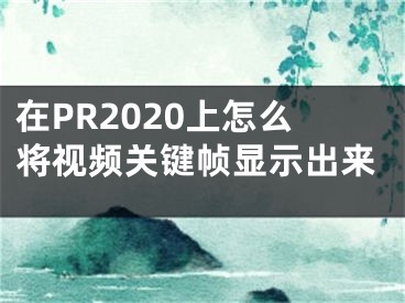 在PR2020上怎么将视频关键帧显示出来