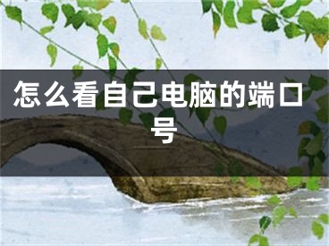 怎么看自己电脑的端口号