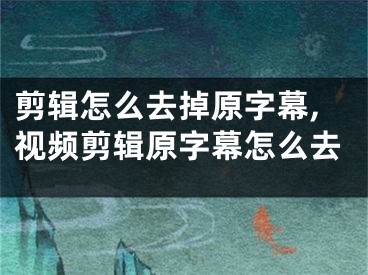 剪辑怎么去掉原字幕,视频剪辑原字幕怎么去