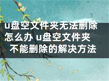u盘空文件夹无法删除怎么办 u盘空文件夹不能删除的解决方法