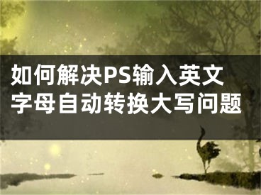 如何解决PS输入英文字母自动转换大写问题