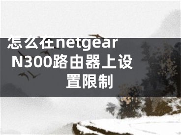 怎么在netgear N300路由器上设置限制