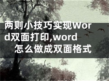 两则小技巧实现Word双面打印,word怎么做成双面格式