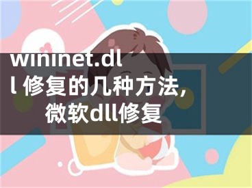 wininet.dll 修复的几种方法,微软dll修复