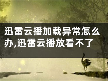 迅雷云播加载异常怎么办,迅雷云播放看不了