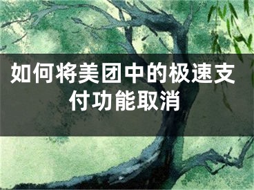 如何将美团中的极速支付功能取消