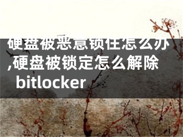 硬盘被恶意锁住怎么办,硬盘被锁定怎么解除bitlocker