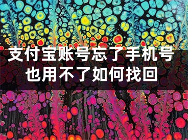 支付宝账号忘了手机号也用不了如何找回