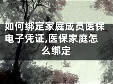 如何绑定家庭成员医保电子凭证,医保家庭怎么绑定