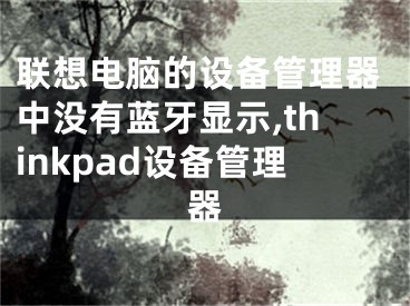 联想电脑的设备管理器中没有蓝牙显示,thinkpad设备管理器