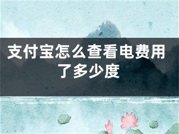 支付宝怎么查看电费用了多少度