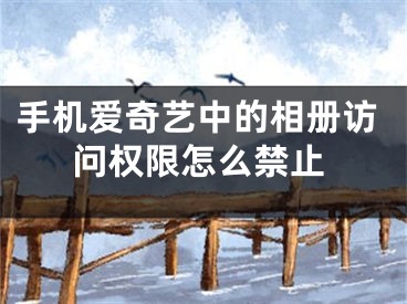 手机爱奇艺中的相册访问权限怎么禁止